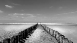 Groynes in Holland with view of the sea Groynes in Holland with view of the sea